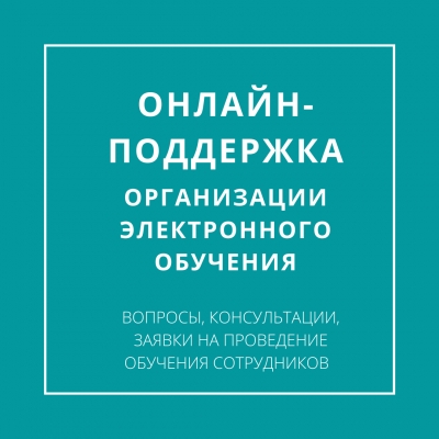 Онлайн-поддержка организации электронного обучения