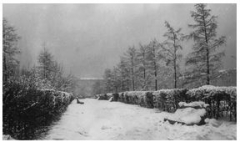 9 июня – День в истории Иркутска